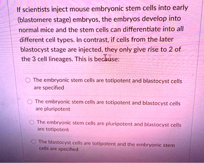 if scientists inject mouse embryonic stem cells into early blastomere ...