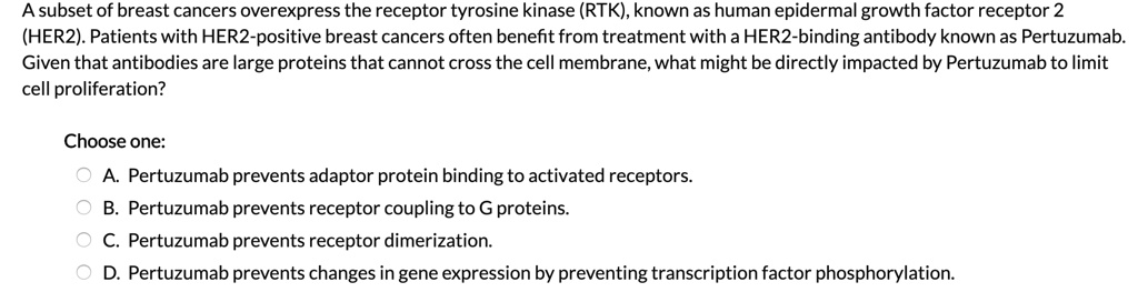A subset of breast cancers overexpress the receptor tyrosine kinase (RTK), known as human epidermal growth factor receptor 2
(HER2). Patients with HER2-positive breast cancers often benefit from treatment with a HER2-binding antibody known as Pertuzumab.
Given that antibodies are large proteins that cannot cross the cell membrane, what might be directly impacted by Pertuzumab to limit
cell proliferation?
Choose one:
A. Pertuzumab prevents adaptor protein binding to activated receptors.
B. Pertuzumab prevents receptor coupling to G proteins.
C. Pertuzumab prevents receptor dimerization.
D. Pertuzumab prevents changes in gene expression by preventing transcription factor phosphorylation.
