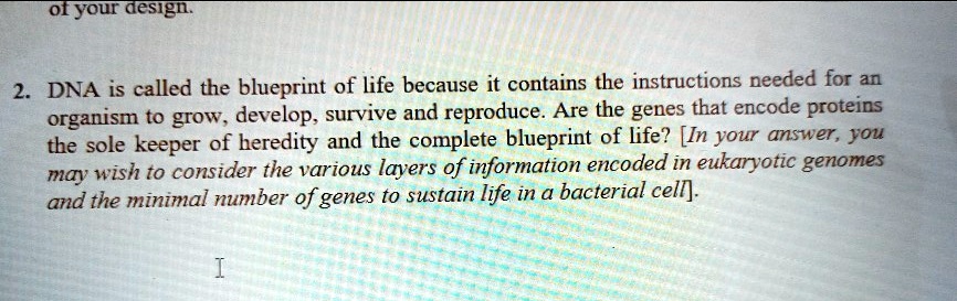 of your design dna is called the blueprint of life because it 