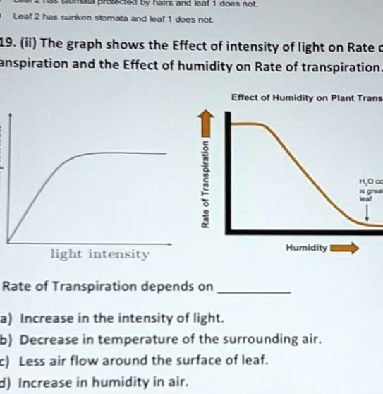 19. (ii) The graph shows the Effect of intensity of light on Rate of transpiration and the Effect of humidity on Rate of transpiration.
Effect of Humidity on Plant Trans-
Rate of Transpiration
light intensity
Humidity
H2O conc is great
Rate of Transpiration depends on 
a) Increase in the intensity of light.
b) Decrease in temperature of the surrounding air.
c) Less air flow around the surface of leaf.
d) Increase in humidity in air.