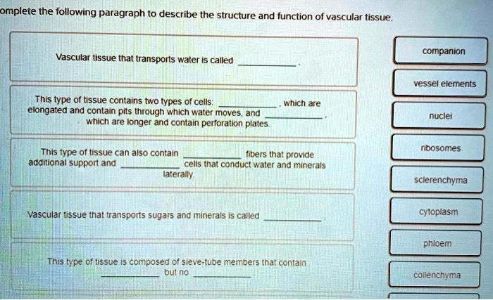 solved-omplete-the-following-paragraph-to-describe-the-structure-and