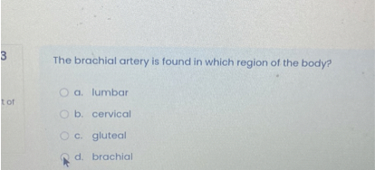 The brachial artery is found in which region of the body?

a. lumbar
b. cervical
c. gluteal
d. brachial