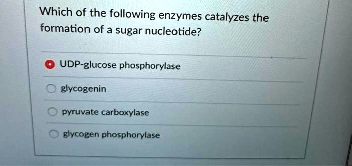 Which of the following enzymes catalyzes the formation of a sugar nucleotide?
UDP-glucose phosphorylase
glycogenin
pyruvate carboxylase
glycogen phosphorylase