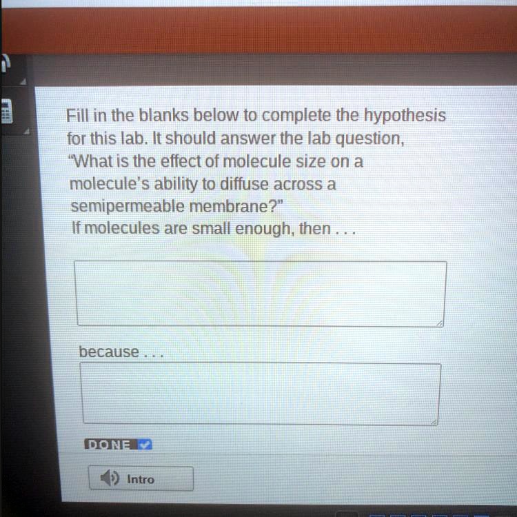 SOLVED 'what is the because part Fill in the blanks below t0 complete the hypothesis for this