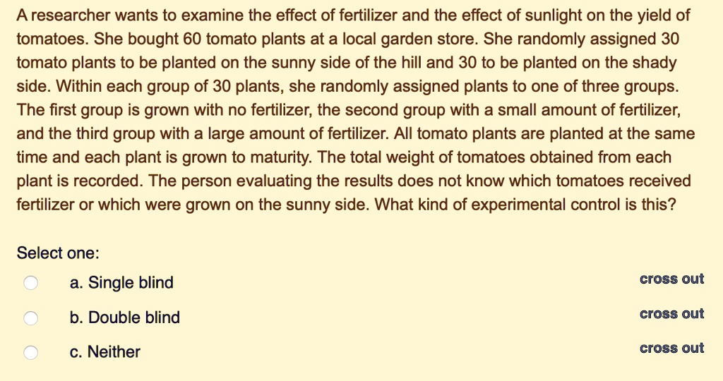 A researcher wants to examine the effect of fertilizer and the effect of sunlight on the yield of tomatoes. She bought 60 tomato plants at a local garden store. She randomly assigned 30 tomato plants to be planted on the sunny side of the hill and 30 to be planted on the shady side. Within each group of 30 plants, she randomly assigned plants to one of three groups. The first group is grown with no fertilizer, the second group with a small amount of fertilizer, and the third group with a large amount of fertilizer. All tomato plants are planted at the same time and each plant is grown to maturity. The total weight of tomatoes obtained from each plant is recorded. The person evaluating the results does not know which tomatoes received fertilizer or which were grown on the sunny side. What kind of experimental control is this?
Select one:
a. Single blind
b. Double blind
c. Neither