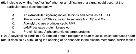 SOLVED: Indicate by writing "yes" whether amplification of signal could ...