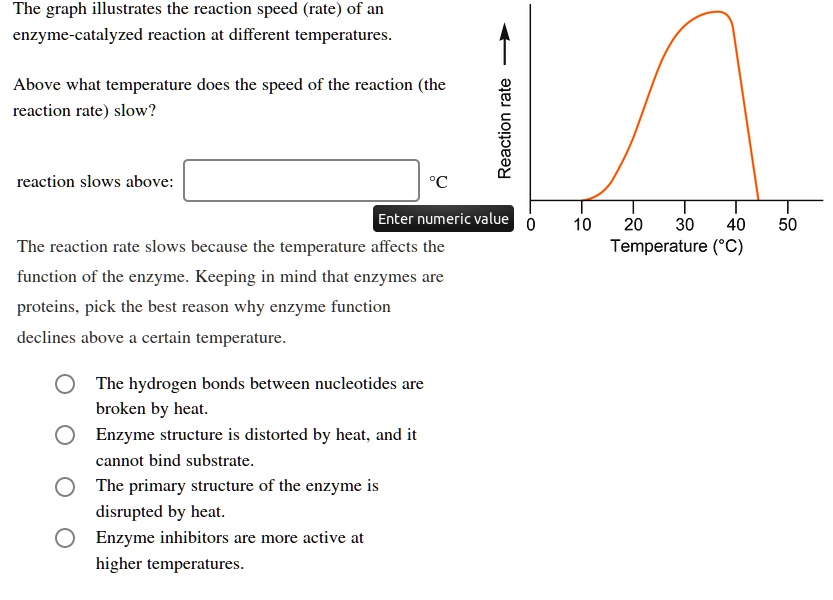 How Does Temperature Affect The Rate Of Enzyme Catalyzed Reaction