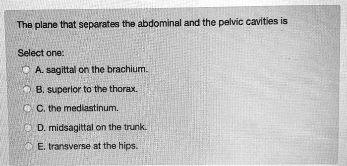 The plane that separates the abdominal and the pelvic cavities is
Select one:
A. sagittal on the brachium.
B. superior to the thorax.
C. the mediastinum.
D. midsagittal on the trunk.
E. transverse at the hips.
