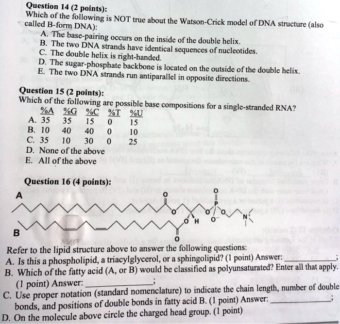Question 14 (2 points):
Which of the following is NOT true about the Watson-Crick model of DNA structure (also
called B-form DNA):
A. The base-pairing occurs on the inside of the double helix.
B. The two DNA strands have identical sequences of nucleotides.
C. The double helix is right-handed.
D. The sugar-phosphate backbone is located on the outside of the double helix.
E. The two DNA strands run antiparallel in opposite directions.

Question 15 (2 points):
Which of the following are possible base compositions for a single-stranded RNA?
%A %G %C %T %U
A. 35 35 15 0 15
B. 10 40 40 0 10
C. 35 10 30 0 25
D. None of the above
E. All of the above

Question 16 (4 points):
Refer to the lipid structure above to answer the following questions:
A. Is this a phospholipid, a triacylglycerol, or a sphingolipid? (1 point) Answer: ;
B. Which of the fatty acid (A, or B) would be classified as polyunsaturated? Enter all that apply.
(1 point) Answer: ;
C. Use proper notation (standard nomenclature) to indicate the chain length, number of double
bonds, and positions of double bonds in fatty acid B. (1 point) Answer: ;
D. On the molecule above circle the charged head group. (1 point)