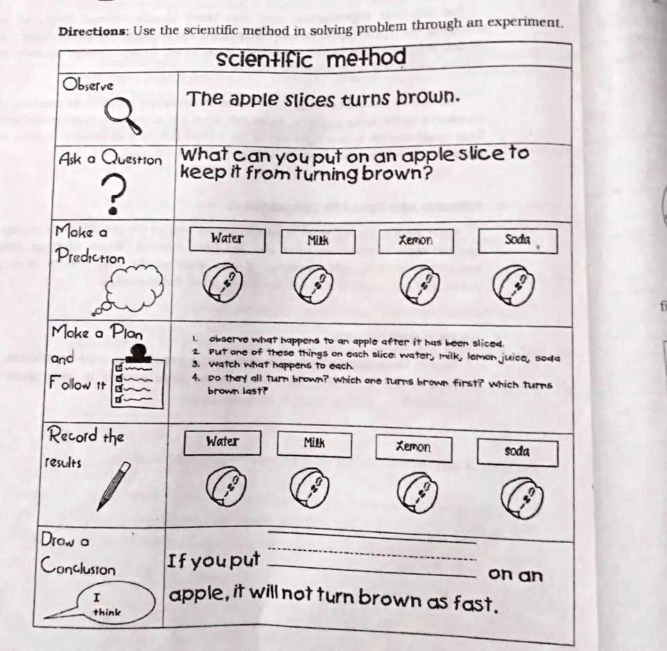 SOLVED Directions Design A Simple Scientific Investigation On A 