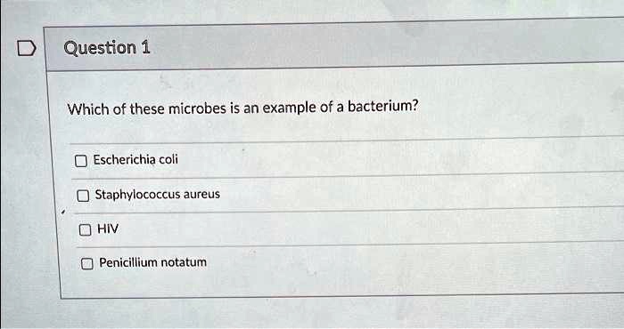 SOLVED: Question 1 Which of these microbes is an example of a bacterium ...