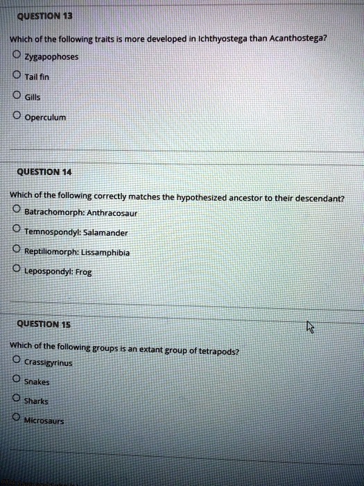 SOLVED: QUESTION 13 Which of the following traits is more developed in