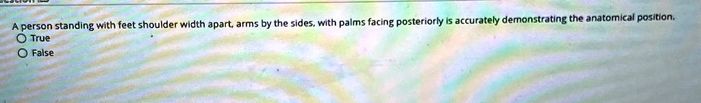 A person standing with feet shoulder width apart, arms by the sides, with palms facing posteriorly is accurately demonstrating the anatomical position.
O True
O False