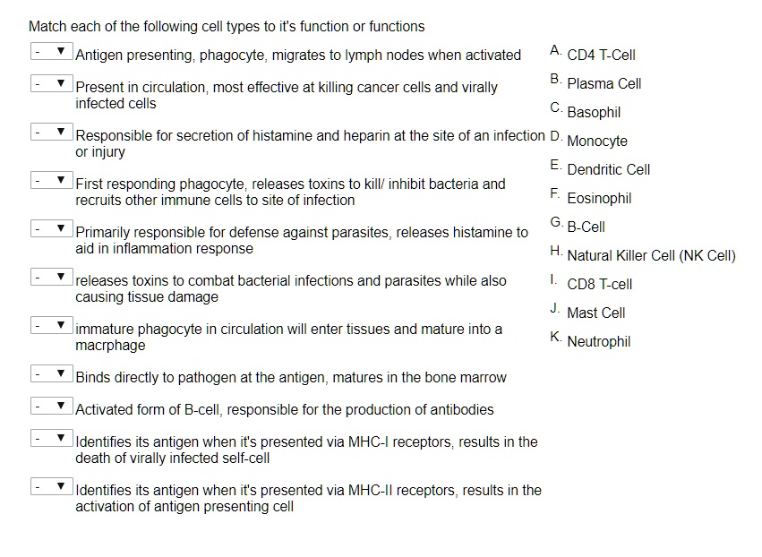 SOLVED Match each of the following cell types to its function or