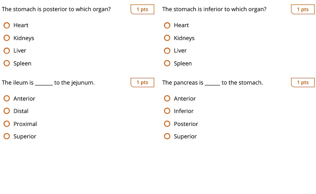 The stomach is posterior to which organ?
Heart
Kidneys
Liver
Spleen
The stomach is inferior to which organ?
Heart
Kidneys
Liver
Spleen
The ileum is  to the jejunum.
Anterior
Distal
Proximal
Superior
The pancreas is  to the stomach.
Anterior
Inferior
Posterior
Superior