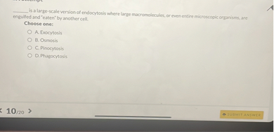  is a large-scale version of endocytosis where large macromolecules, or even entire microscopic organisms, are engulfed and "eaten" by another cell.

Choose one:
A. Exocytosis
B. Osmosis
C. Pinocytosis
D. Phagocytosis