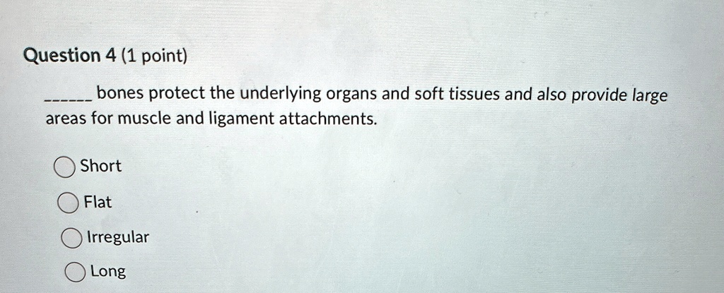 question 4 1 point  bones protect the underlying organs and soft tissues and also provide large areas for muscle and ligament attachments short flat irregular long 72978