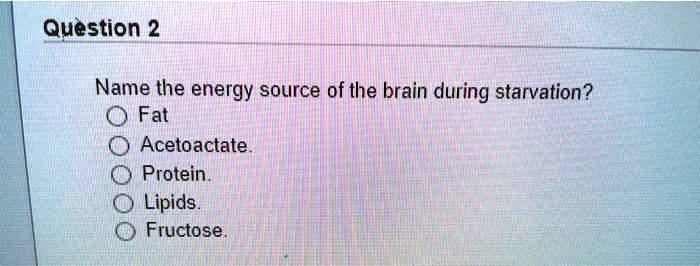 the energy source of the brain during starvation is