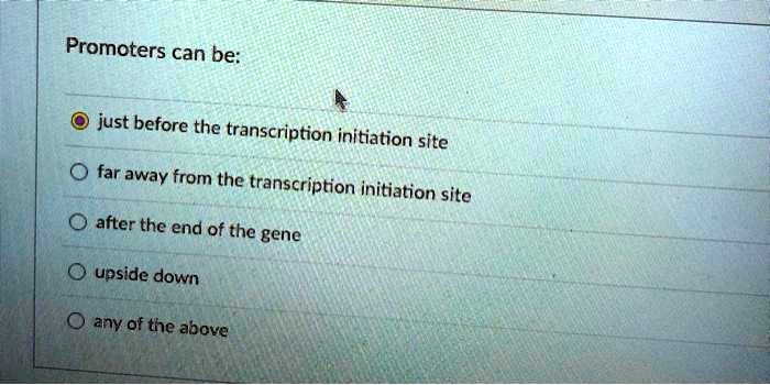 Promoters can be:
just before the transcription initiation site
far away from the transcription initiation site
after the end of the gene
upside down
any of the above
