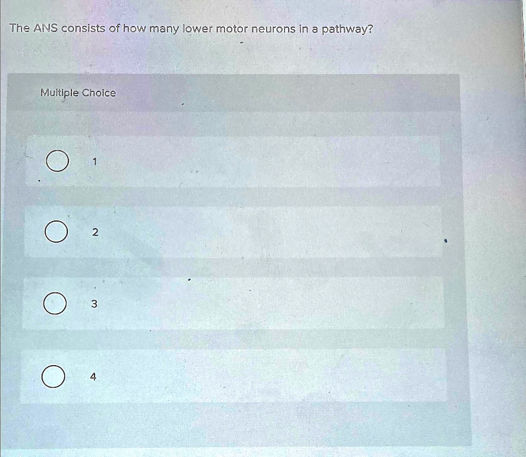 SOLVED: The ANS consists of how many lower motor neurons in a pathway ...