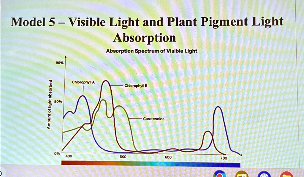 SOLVED Model 5 Visible Light and Plant Pigment Light Absorption