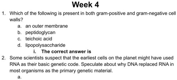 1. Which of the following is present in both gram-positive and gram-negative cell walls?
a. an outer membrane
b. peptidoglycan
c. teichoic acid
d. lipopolysaccharide
i. The correct answer is
2. Some scientists suspect that the earliest cells on the planet might have used RNA as their basic genetic code. Speculate about why DNA replaced RNA in most organisms as the primary genetic material.
a.