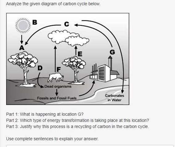 SOLVED: 'BRAINLIESTTT ASAP!! please answer :) Analyze the given diagram ...