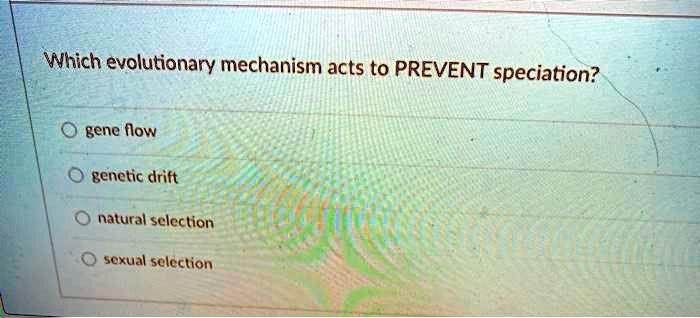 Which evolutionary mechanism acts to PREVENT speciation?

gene flow
genetic drift
natural selection
sexual selection