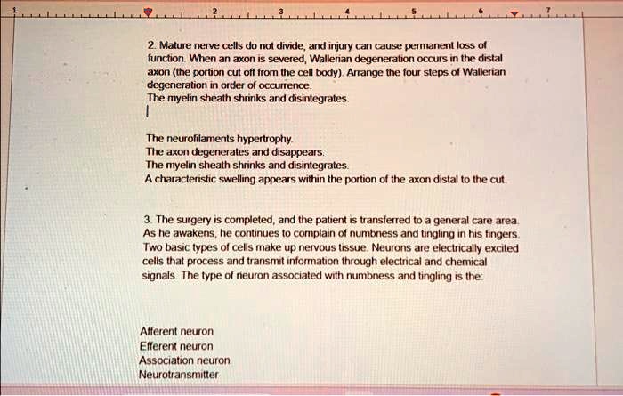 solved-2-mature-nerve-cells-do-not-divide-and-injury-can-cause