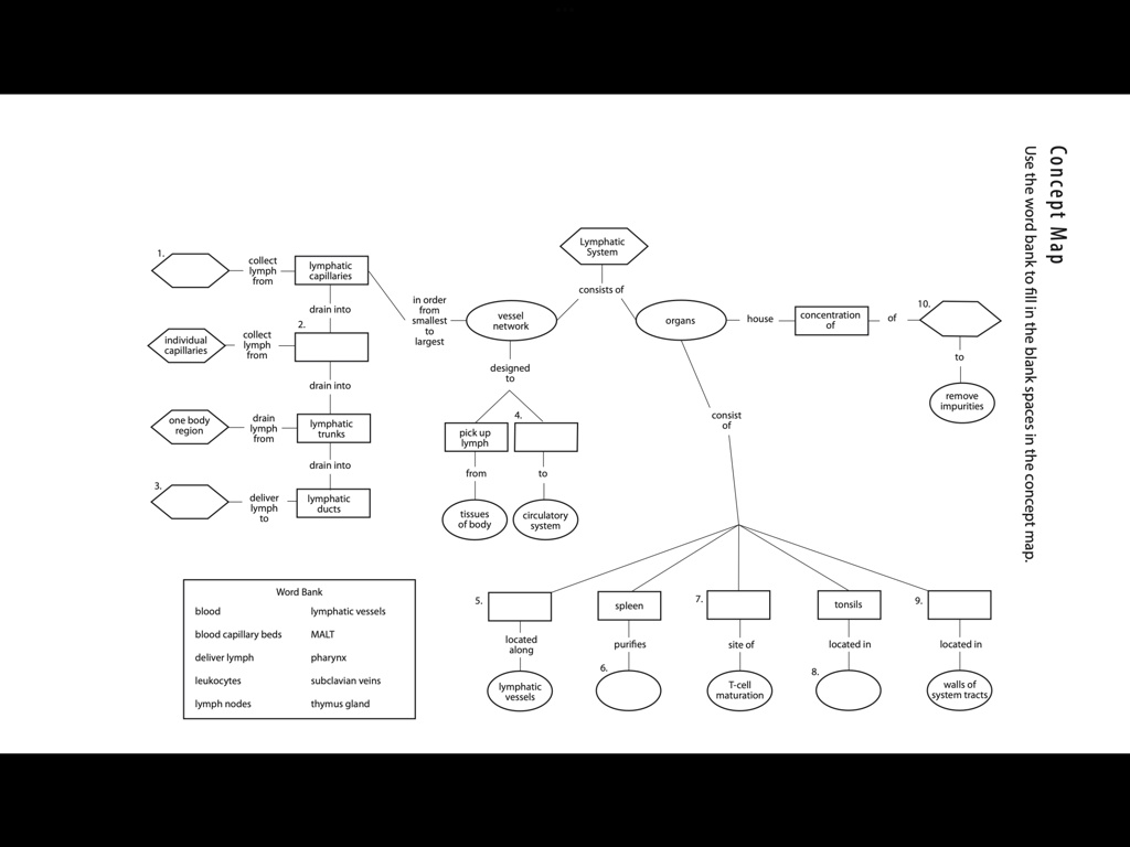concept map use the word bank to fill in the blank spaces in the ...