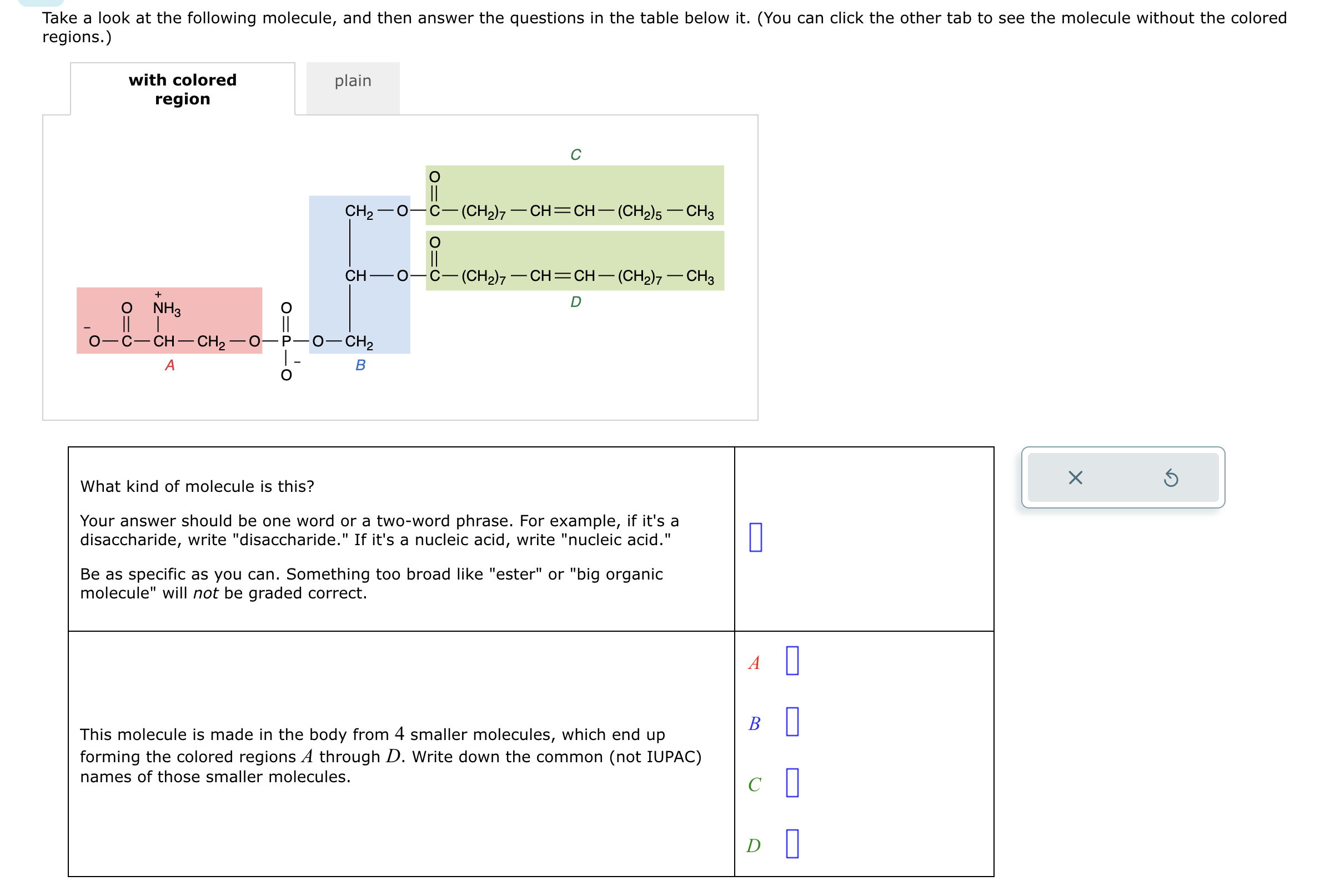 SOLVED Take a look at the following molecule, and then answer the