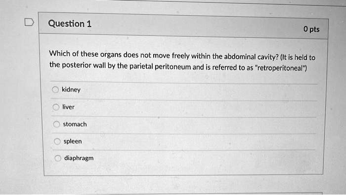 Which of these organs does not move freely within the abdominal cavity? (It is held to the posterior wall by the parietal peritoneum and is referred to as "retroperitoneal")
kidney
liver
stomach
spleen
diaphragm