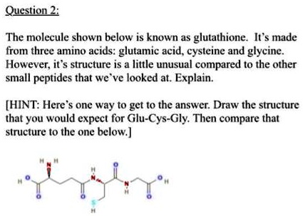 Question 2: The molecule shown below is known as