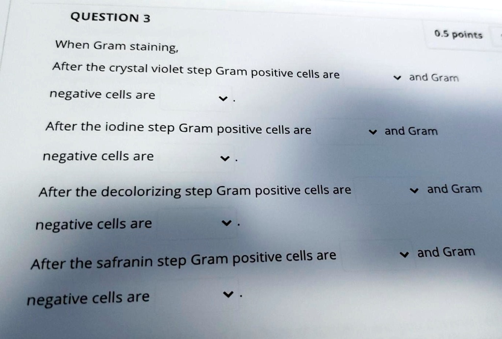 [GET ANSWER] QUESTION 3 0.5 points When Gram staining, After the ...