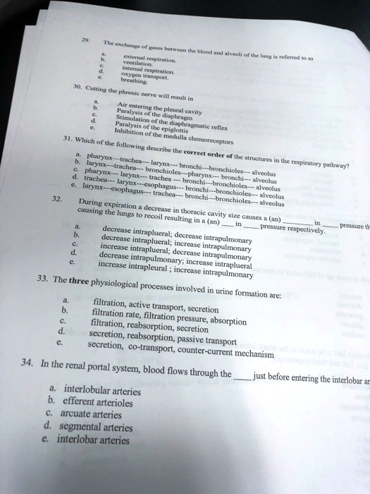 Solved: 29. The Ventilation, External Respiration, Internal Respiration 