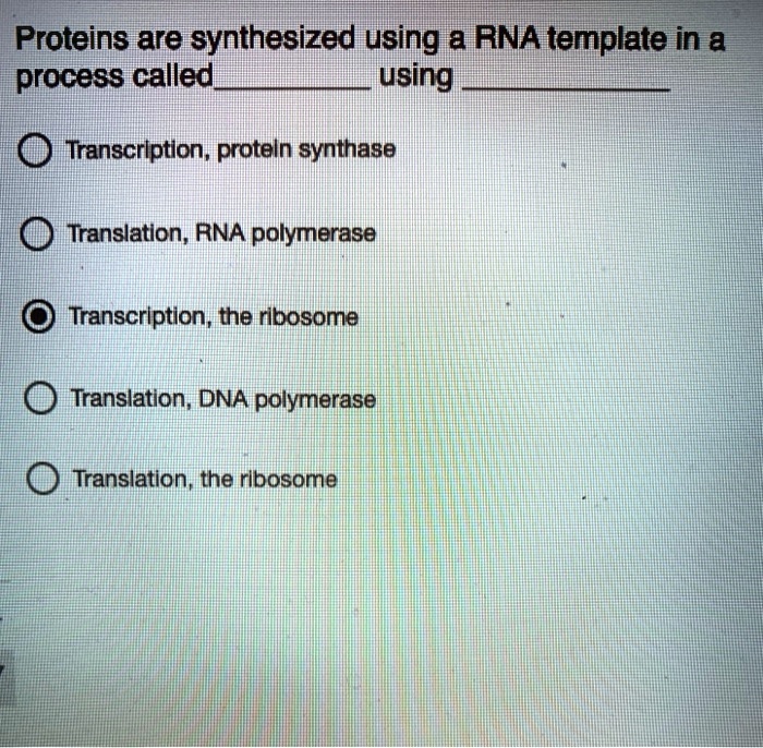 SOLVED: Proteins are synthesized using an RNA template in a process ...