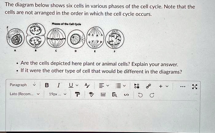 the diagram below shows six cells in various phases of the cell cycle ...
