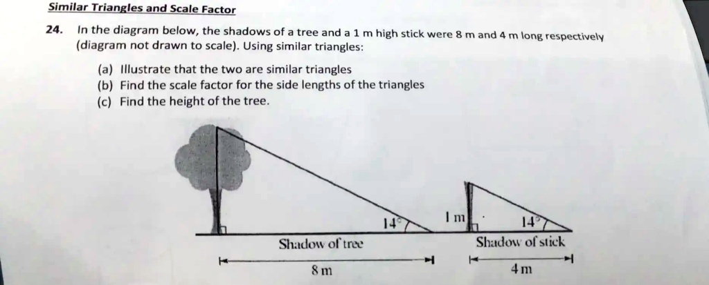 solved-similar-triangles-and-scale-factor-24-in-the-diagram-below