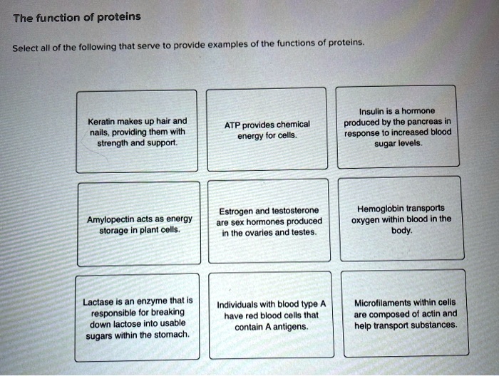 The function of proteins
Select all of the following that serve to provide examples of the functions of proteins.
Keratin makes up hair and nails, providing them with strength and support.
ATP provides chemical energy for cells.
Insulin is a hormone produced by the pancreas in response to increased blood sugar levels.
Amylopectin acts as energy storage in plant cells.
Estrogen and testosterone are sex hormones produced in the ovaries and testes.
Hemoglobin transports oxygen within blood in the body.
Lactase is an enzyme that is responsible for breaking down lactose into usable sugars within the stomach.
Individuals with blood type A have red blood cells that contain A antigens.
Microfilaments within cells are composed of actin and help transport substances.