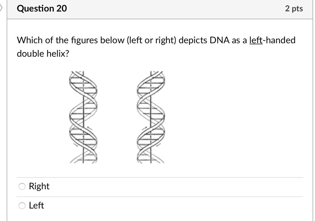 Alpha Helix Right Handed