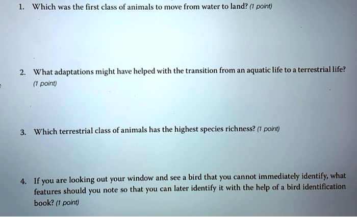 SOLVED: Which was the first class of animals t0 move from water t0 land? (1  point) What adaptations might have helped with the transition from an  aquatic life to a terrestrial life?