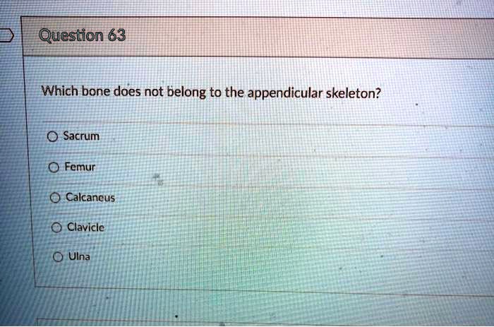 Which bone does not belong to the appendicular skeleton?
Sacrum
Femur
Calcaneus
Clavicle
Ulna