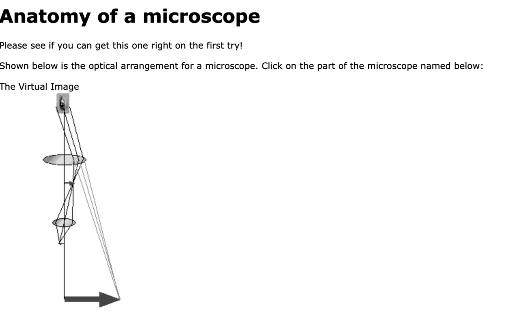 Solved anatomy of a microscope please see if you can get this one