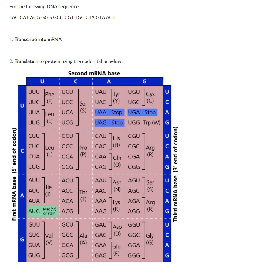 SOLVED: For the following DNA sequence: TAC CATACG GGG GCC CGT TGC CTA ...