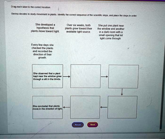 Plant Study Direction Drag each label to the correct location Sienna decides to study ...