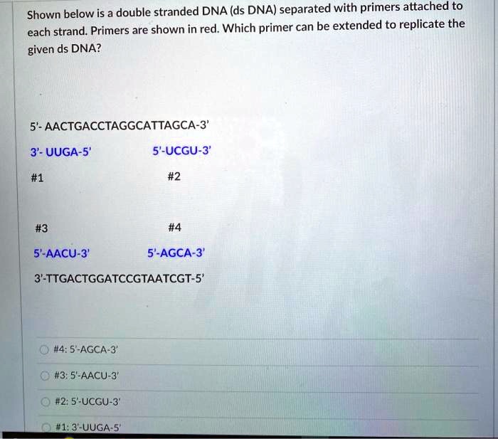 Solved Shown Below Is A Double Stranded Dna Ds Dna Separated With