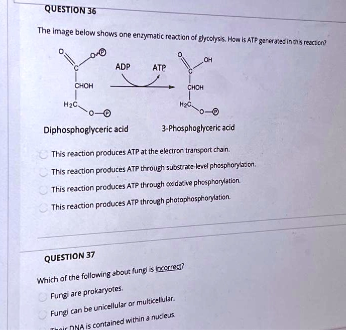 SOLVED: QUESTION 36: The image below shows one enzymatic reaction of ...