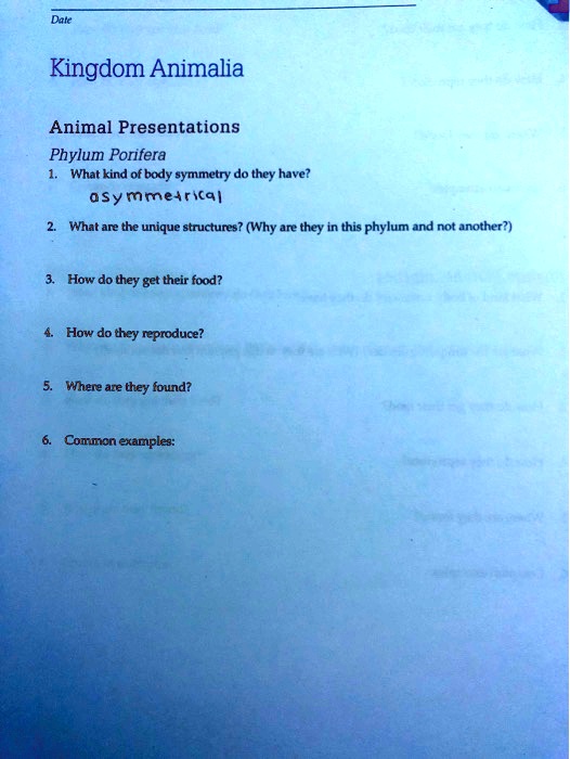 Date
Kingdom Animalia
Animal Presentations
Phylum Porifera
1. What kind of body symmetry do they have?
asymmetrical
2. What are the unique structures? (Why are they in this phylum and not another?)
3. How do they get their food?
4. How do they reproduce?
5. Where are they found?
6. Common examples: