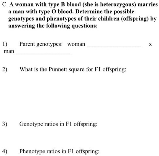 SOLVED: A Woman With Type B Blood (she Is Heterozygous) Marries A Man ...