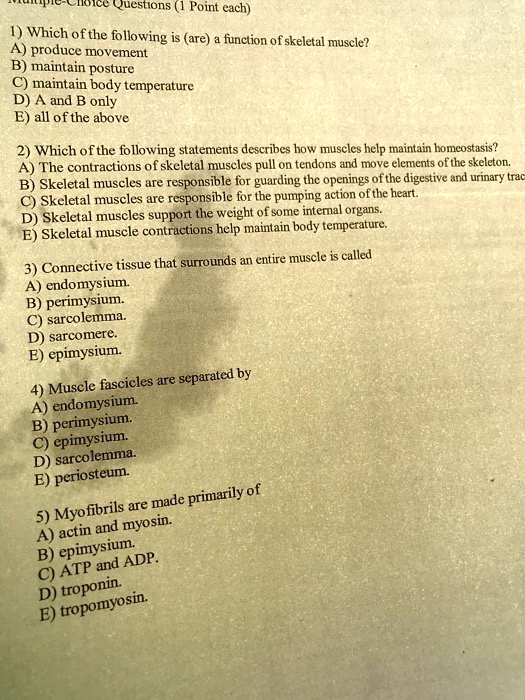 Solved:questions (1 Point Each) 1) Which Of The Following (Are) Function Of  Skeletal A) Produce Movement Muscle? B) Maintain Posture C) Maintain Body  Temperature D) A And B Only E) All Ofthe Solved:questions (1 Point Each) 1) Which Of The Following (Are) Function Of  Skeletal A) Produce Movement Muscle? B) Maintain Posture C) Maintain Body  Temperature D) A And B Only E) All Ofthe
